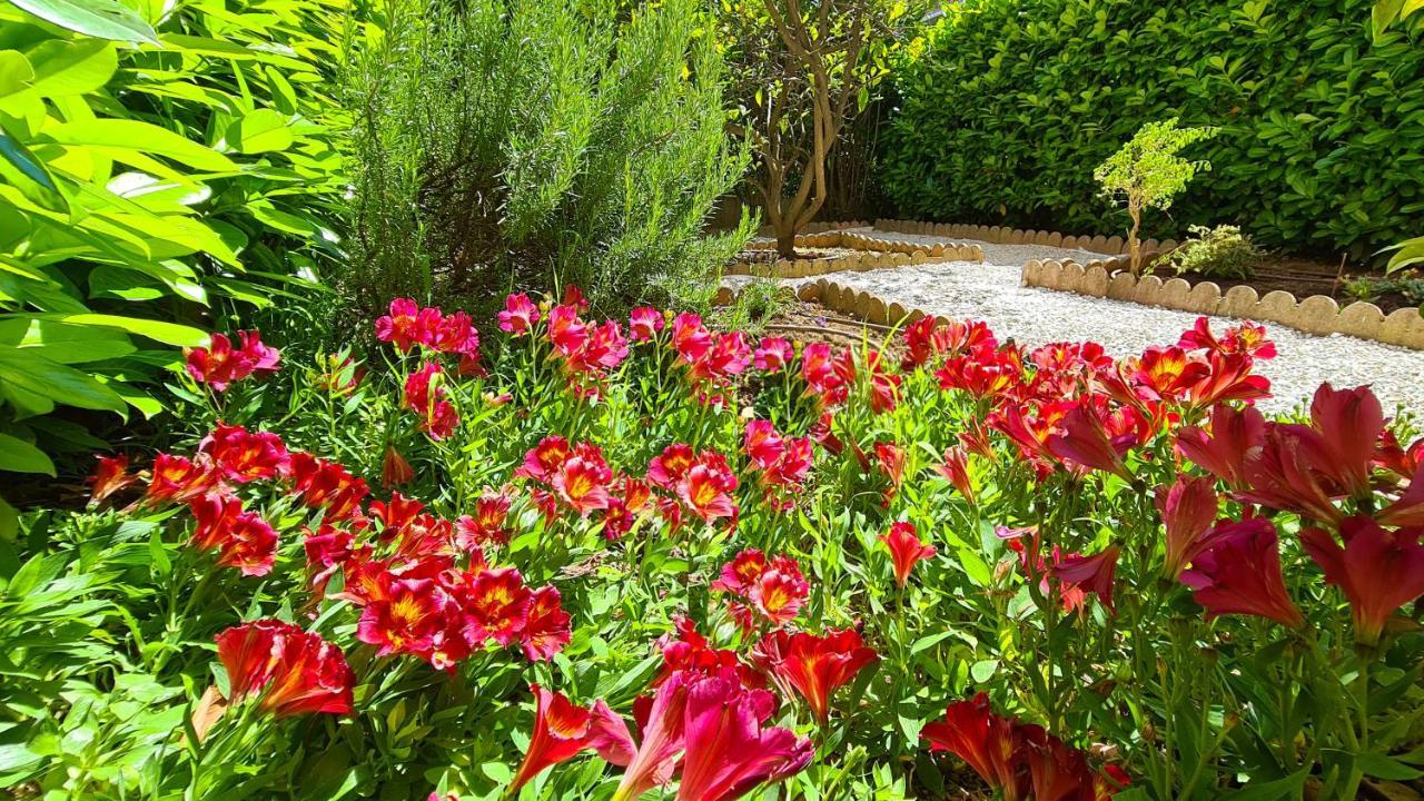 Casalionelantibes 70 Sqm Apartment With Garden And Parking Exterior foto